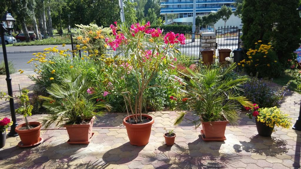 Barbara Vendeghaz Appartement Balatonfüred Buitenkant foto