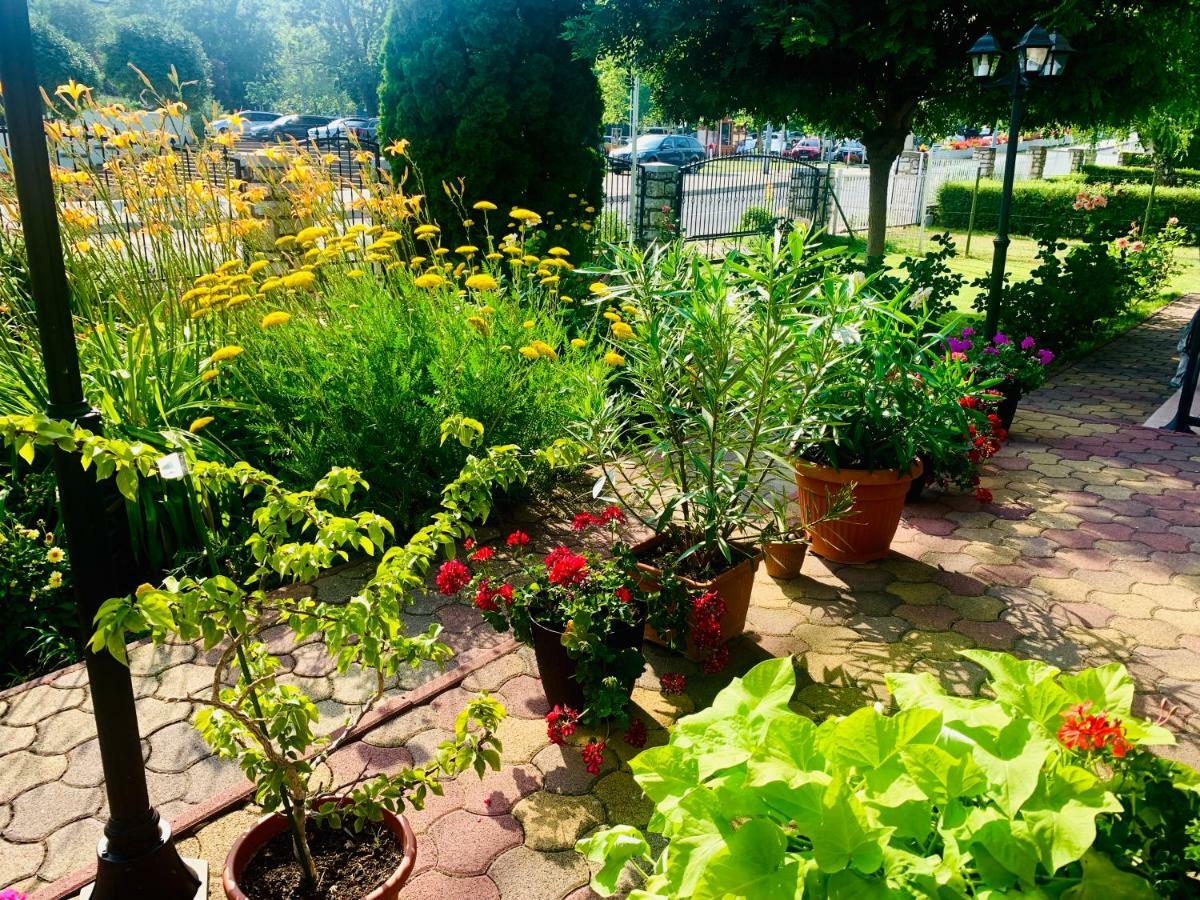 Barbara Vendeghaz Appartement Balatonfüred Buitenkant foto